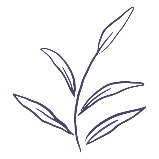 Zarte Pflanze von Hand gezeichnet PNG-Design