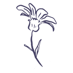 Delicate Flower Hand Drawn PNG & SVG Design For T-Shirts