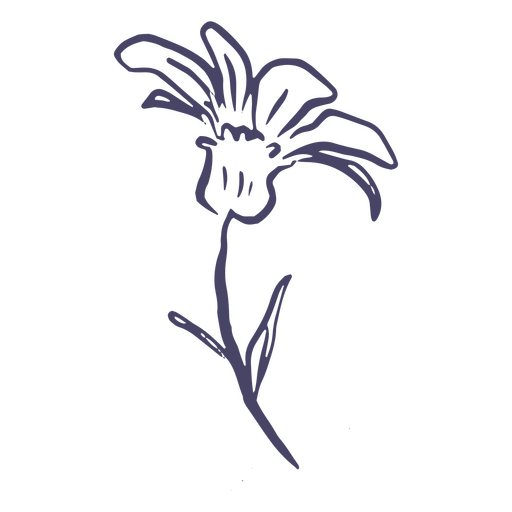 Flor delicada desenhada à mão Desenho PNG