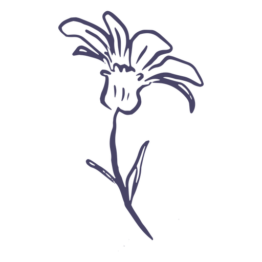 Flor delicada dibujada a mano Diseño PNG