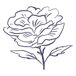 Schöne Blumenhand gezeichnet PNG-Design
