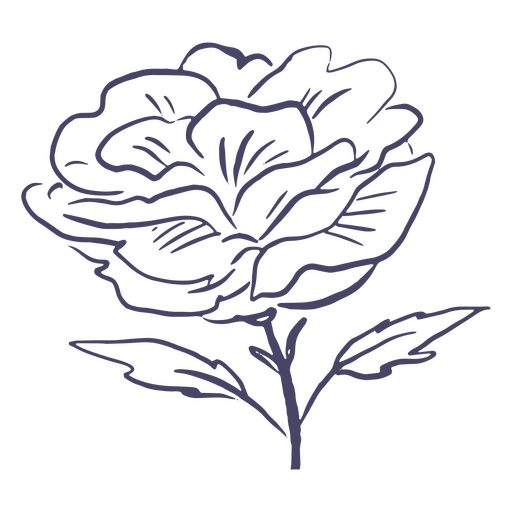 Schöne Blumenhand gezeichnet PNG-Design