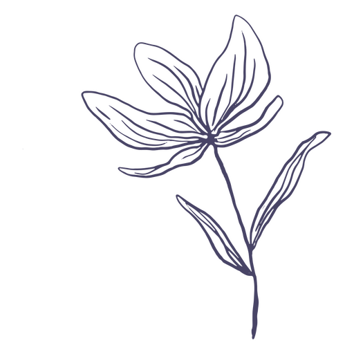Blumen handgezeichnet sch?n PNG-Design