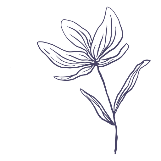 Flores desenhadas à mão lindas Desenho PNG