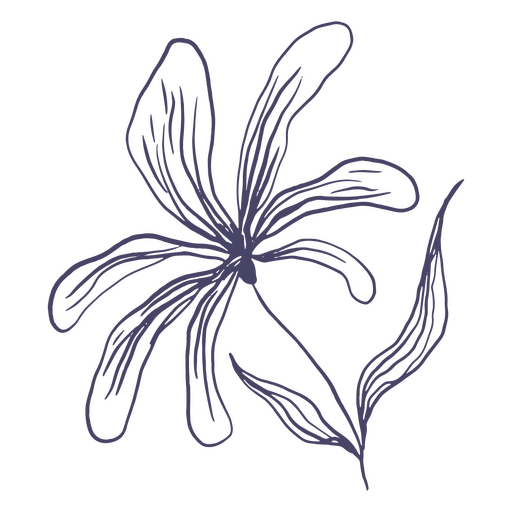 Blumenhand gezeichnet schön PNG-Design