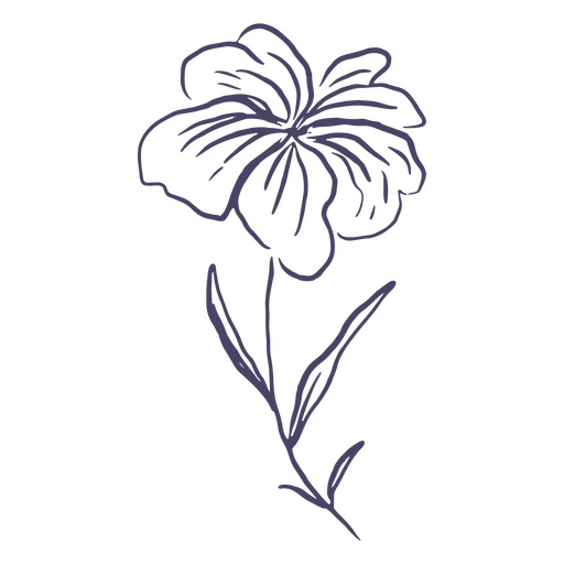 Flor desenhada ? m?o delicada Desenho PNG