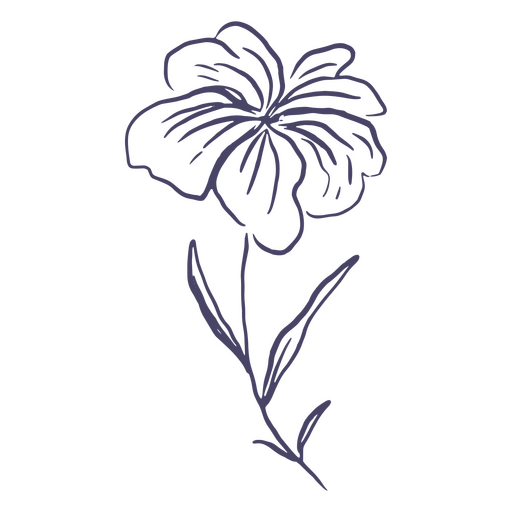 Flor dibujada a mano delicada Diseño PNG