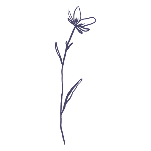 Pequena flor desenhada à mão Desenho PNG
