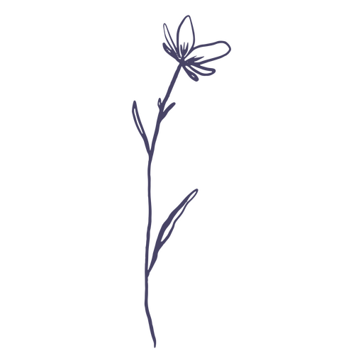 Pequena flor desenhada ? m?o Desenho PNG