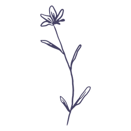 Pequena flor desenhada à mão Desenho PNG