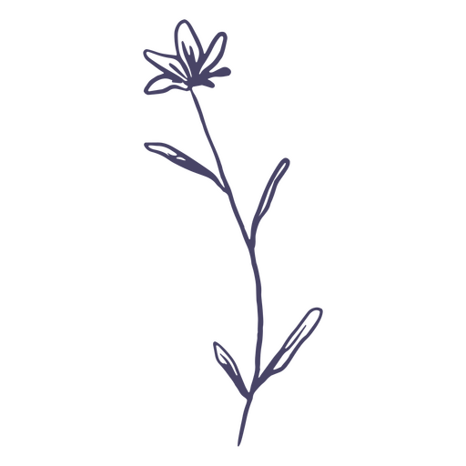 Kleine Blume von Hand gezeichnet PNG-Design