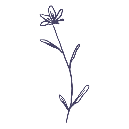 Pequena flor desenhada à mão Desenho PNG