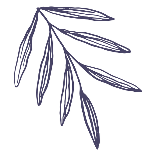 Planta hojas lindas dibujadas a mano Diseño PNG