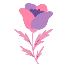 Flor plana rosa e lilás Desenho PNG