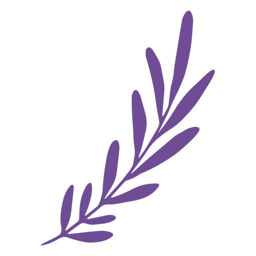 Purple leaves plant branch PNG Design