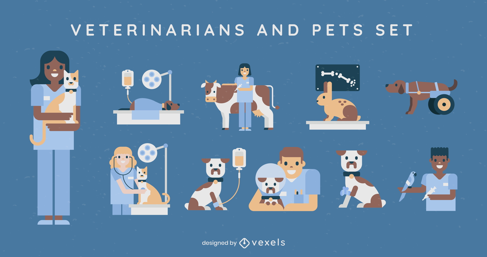 Conjunto de caracteres de veterinários e animais de estimação