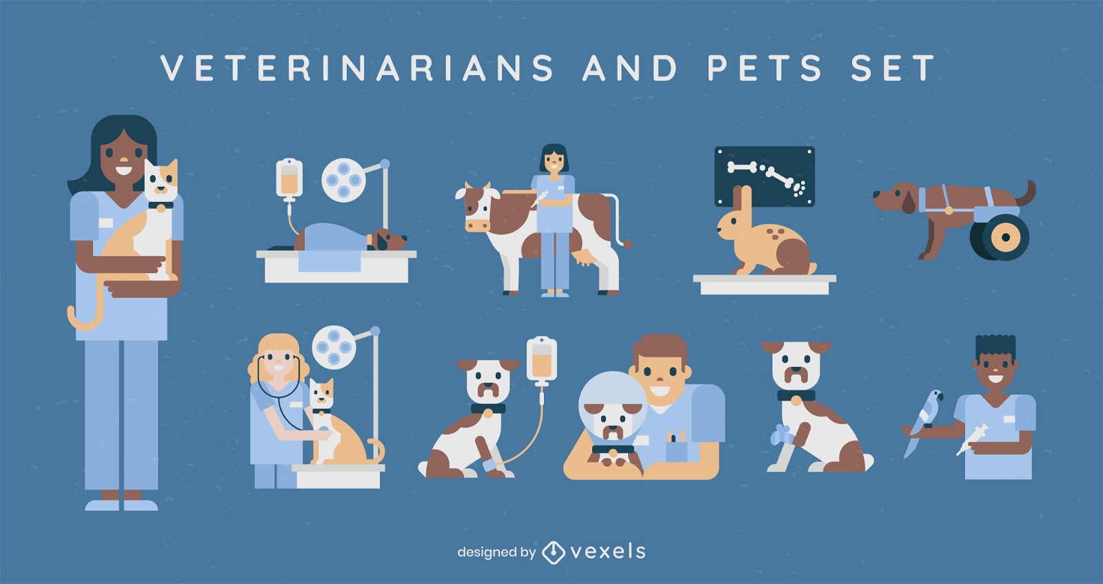 Conjunto de caracteres de veterinarios y mascotas.