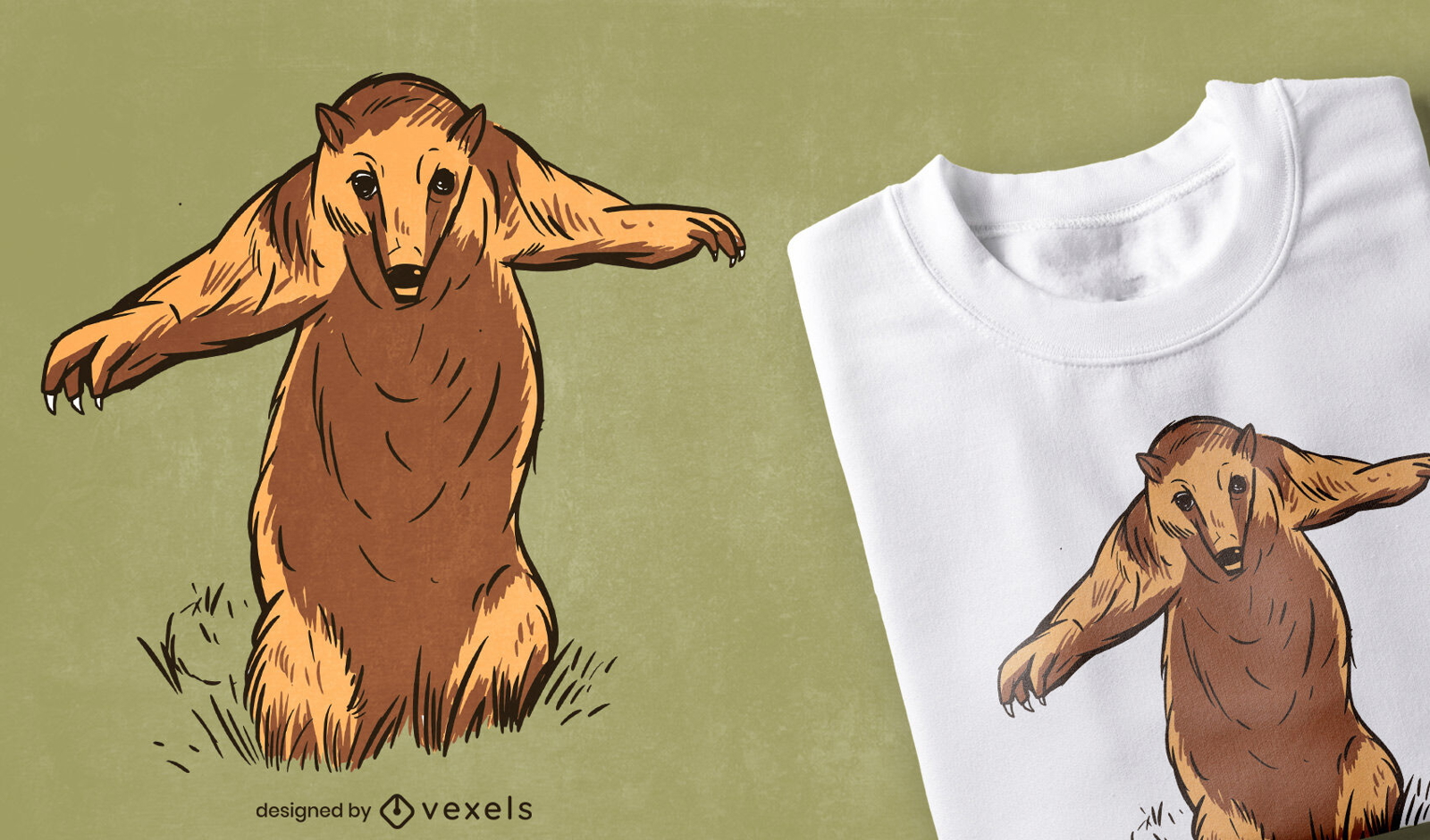 Anteater bear animal t-shirt design