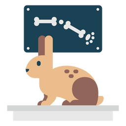 Pet veterinarian bunny animal PNG Design