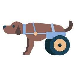 Pet dog veterinarian animal PNG Design