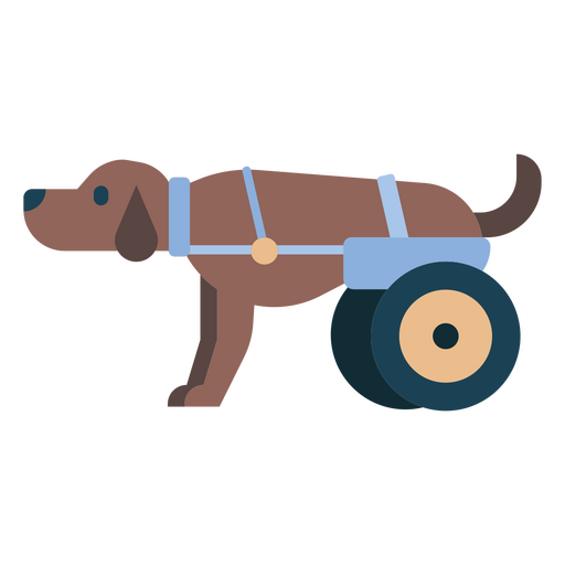 Animal de estimação cão veterinário Desenho PNG