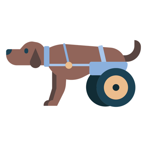 Mascota perro veterinario animal Diseño PNG