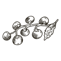 Gemüsekirschtomaten essen PNG-Design