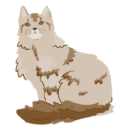 Somali cat animal PNG Design