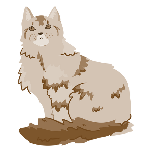 Somali cat animal PNG Design