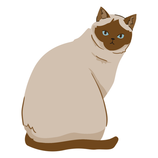 Siamese cat animal PNG Design