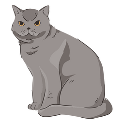 British shorthair cat animal PNG Design