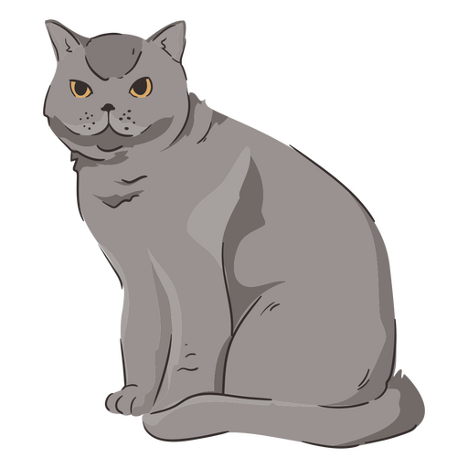 animal gato de pelo curto britânico Desenho PNG