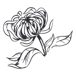 Detaillierte handgezeichnete Blume PNG-Design