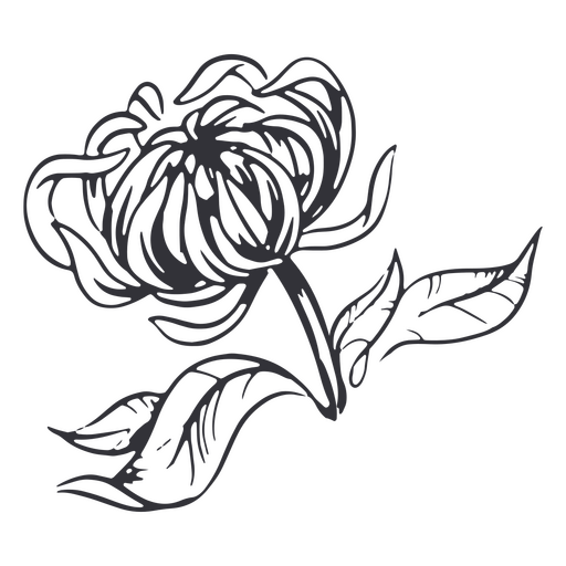 Detaillierte handgezeichnete Blume PNG-Design