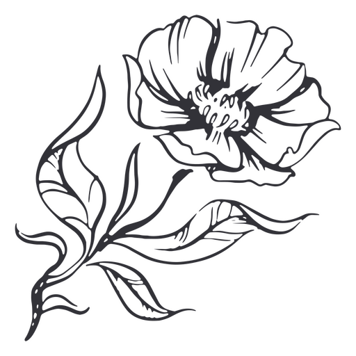 Detaillierte handgezeichnete Blumen und Blätter PNG-Design