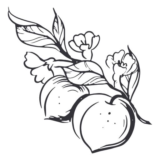 Flores de pêssegos desenhadas à mão Desenho PNG