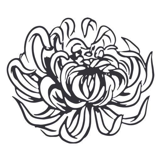 Blume handgezeichnet realistisch PNG-Design