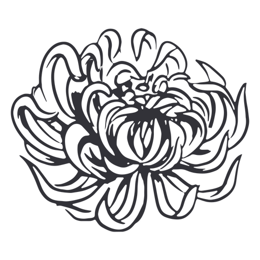 Flower hand drawn realistic PNG Design