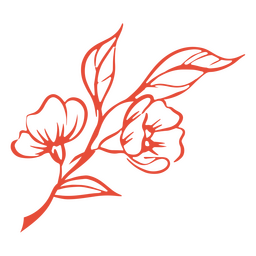 Flores trazo rojo Diseño PNG