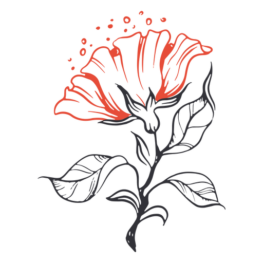 Detaillierte Blumen Strichzeichnungen PNG-Design