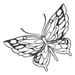Trazo detallado lleno de mariposas