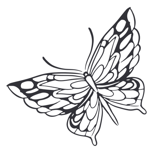 Detaillierter, mit Schmetterlingen gefüllter Strich PNG-Design