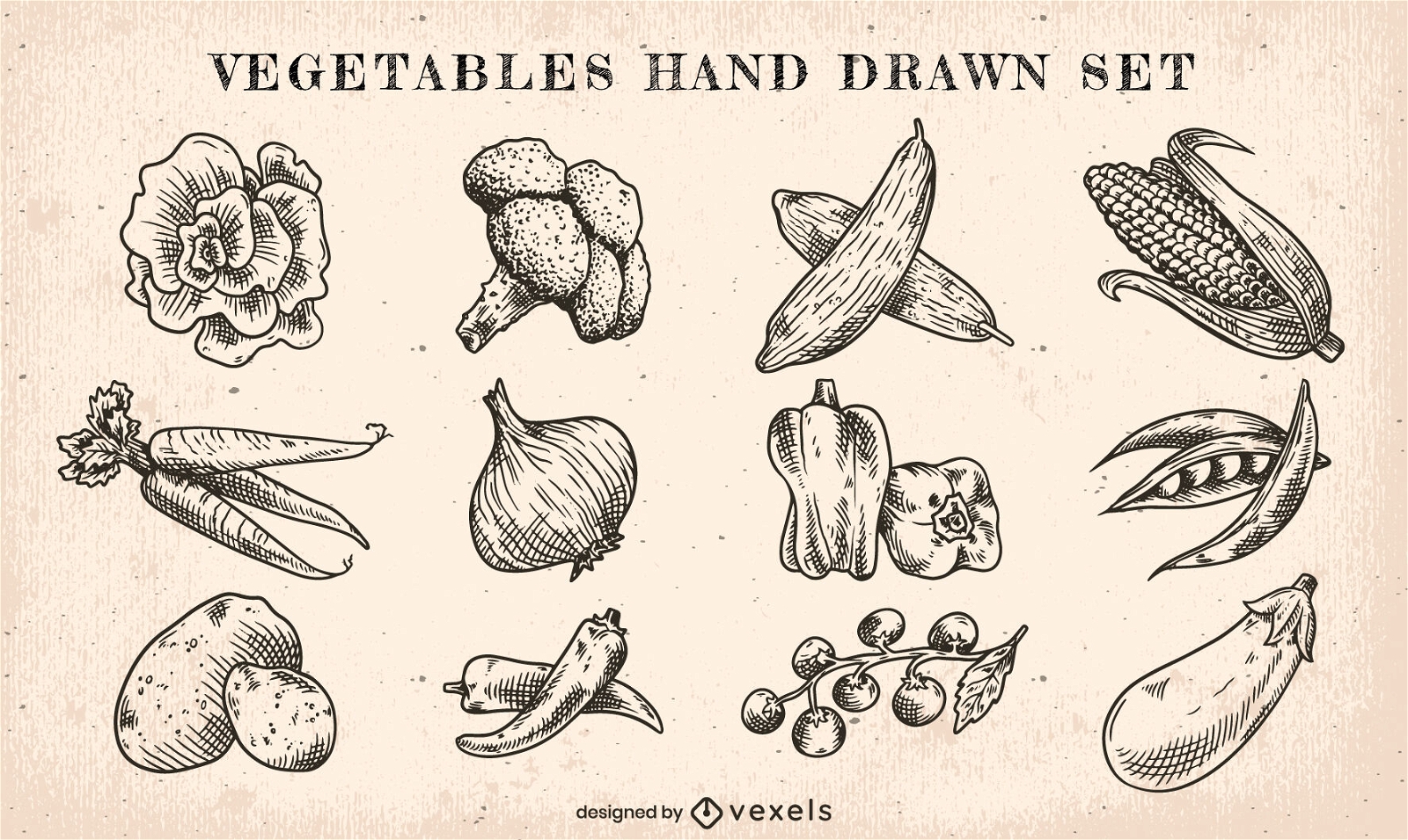 Hand drawn vegetables set