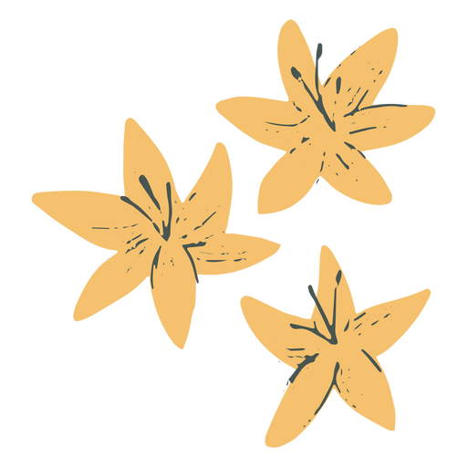 Ícone da natureza das flores amarelas da flor da primavera Desenho PNG