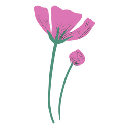 Spring bloom delicate flowers nature icon PNG Design Transparent PNG