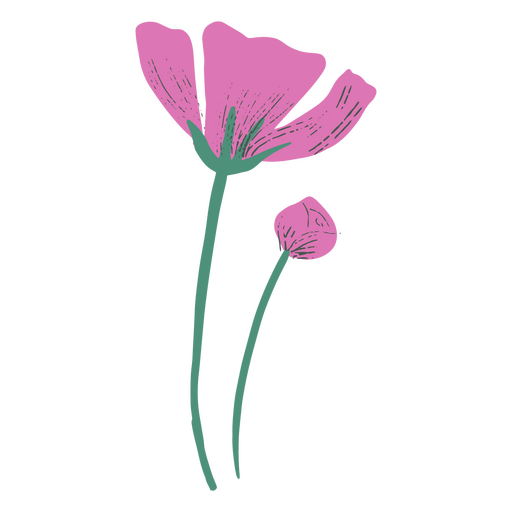 Flores delicadas flores da primavera ícone da natureza Desenho PNG