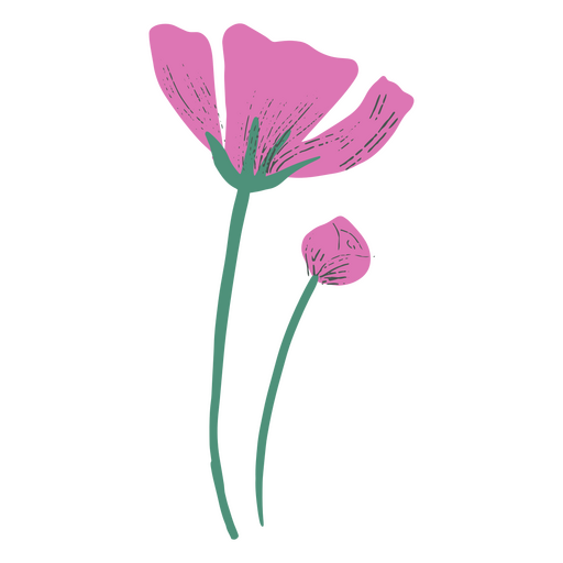 Frühlingsblüte zarte Blumen Natur-Ikone PNG-Design