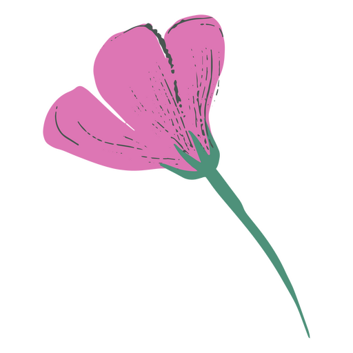 Ícone da natureza flor delicada da flor da primavera Desenho PNG