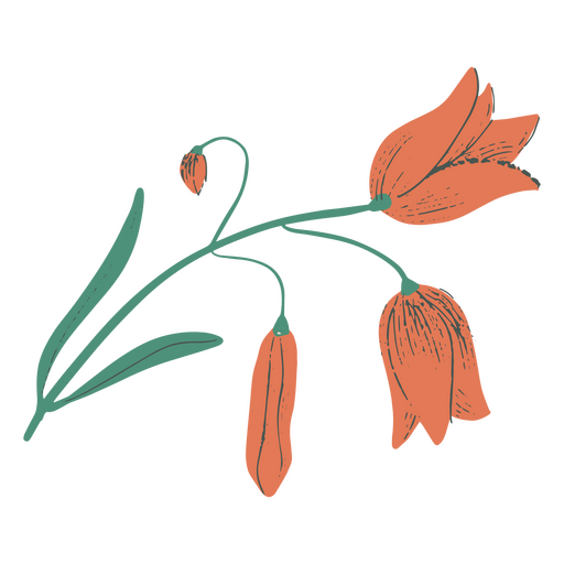 Ícone da natureza das flores do cottagecore da flor da primavera Desenho PNG