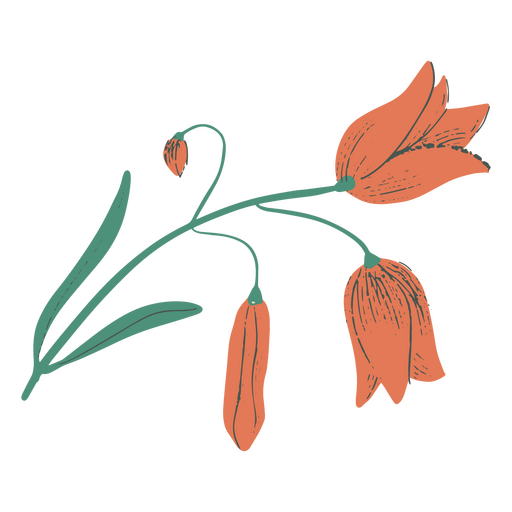 Icono de la naturaleza de las flores de la caba?a de la flor de primavera Diseño PNG